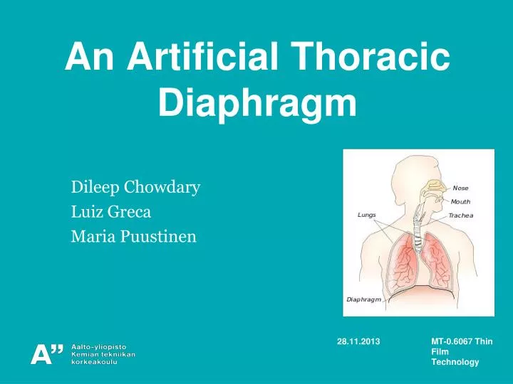 an artificial thoracic diaphragm