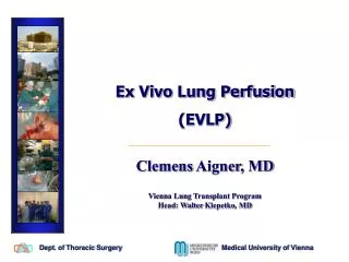 Ex Vivo Lung Perfusion (EVLP) Clemens Aigner , MD Vienna Lung Transplant Program