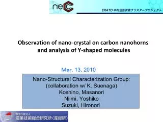Observation of nano -crystal on carbon nanohorns and analysis of Y-shaped molecules