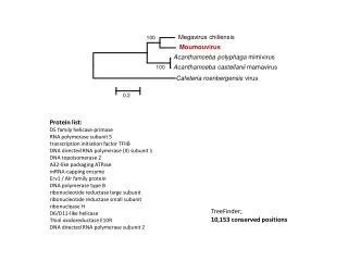 Megavirus chiliensis