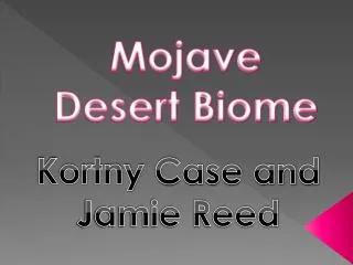 Mojave Desert Biome