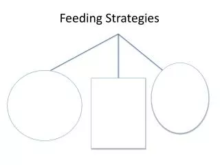 Feeding Strategies