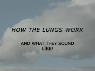 HOW THE LUNGS WORK