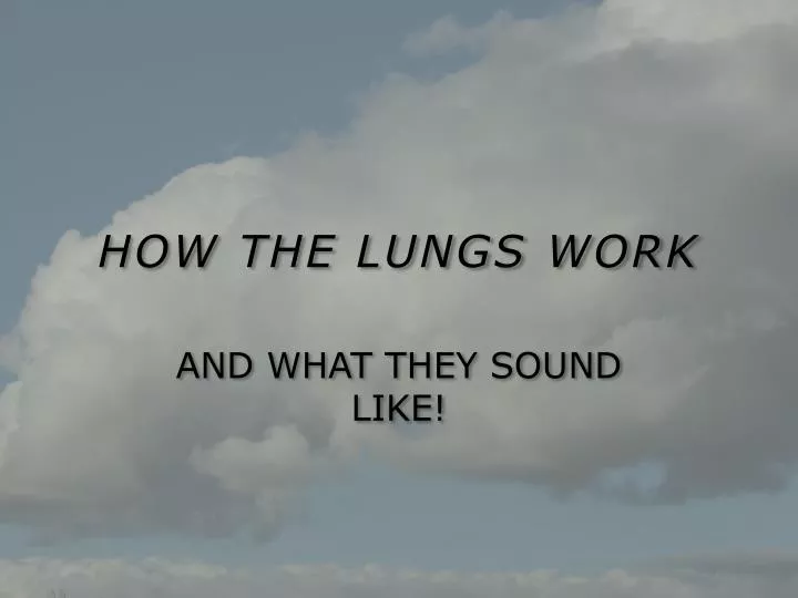 how the lungs work