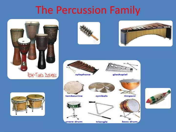 the percussion family