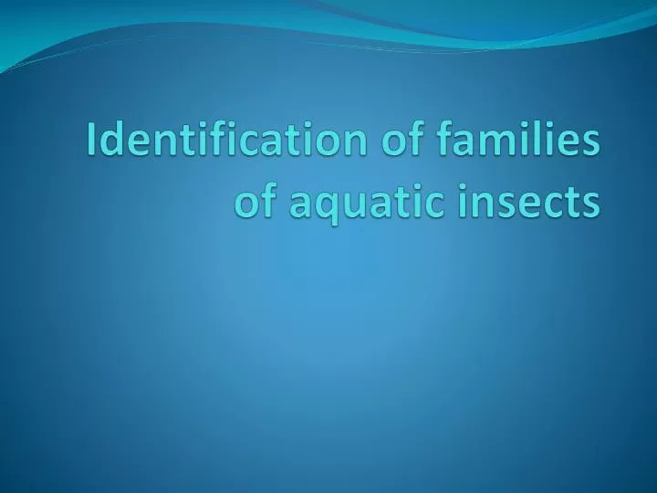 identification of families of aquatic insects