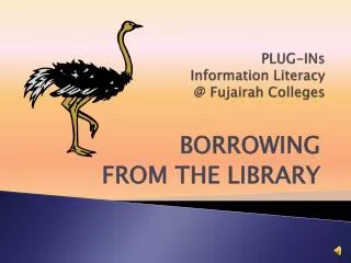 PLUG-INs Information Literacy @ Fujairah Colleges