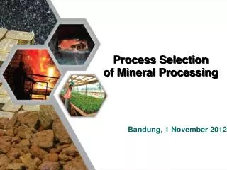 Process Selection of Mineral Processing