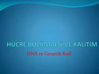 h cre b l nmes ve kalitim