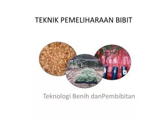 TEKNIK PEMELIHARAAN BIBIT