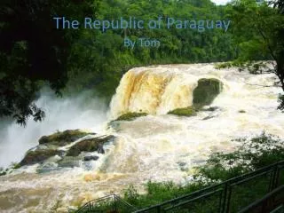 The Republic of Paraguay