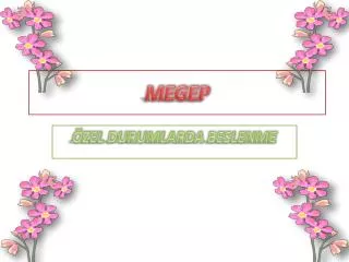 megep