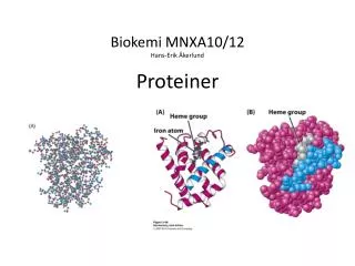 biokemi mnxa10 12 hans erik kerlund