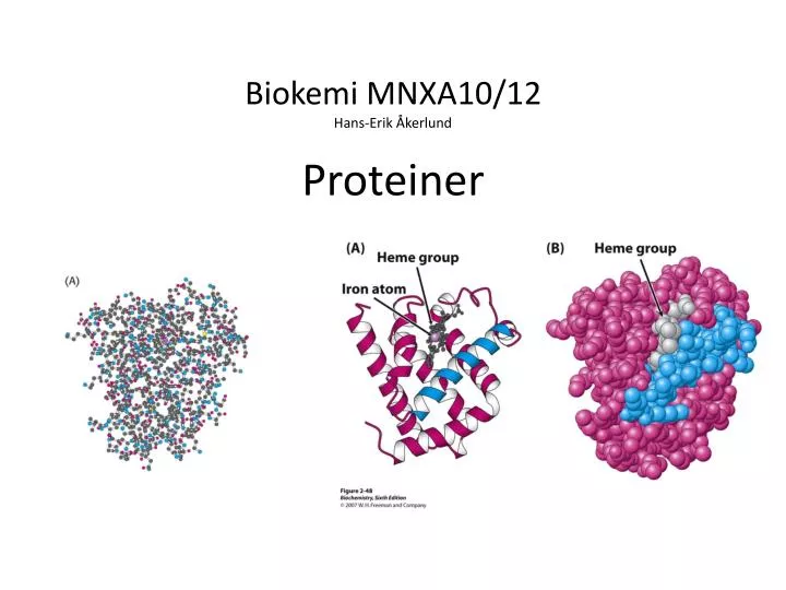 biokemi mnxa10 12 hans erik kerlund