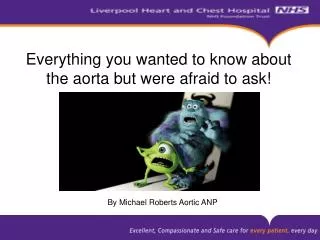 Everything you wanted to know about the aorta but were afraid to ask!