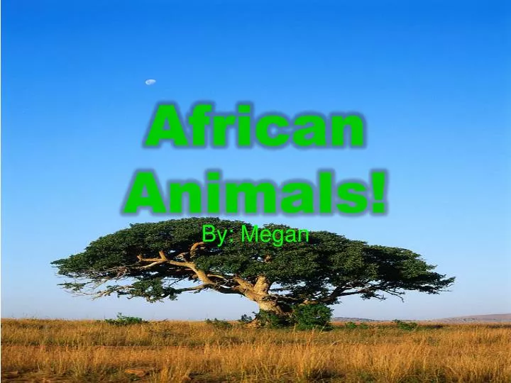 african animals