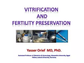 Vitrification and fertility preservation