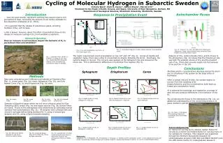 Cycling of Molecular Hydrogen in Subarctic Sweden