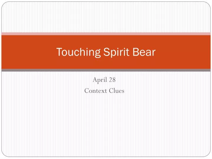 touching spirit bear