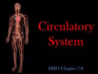 Circulatory System DHO Chapter 7:8