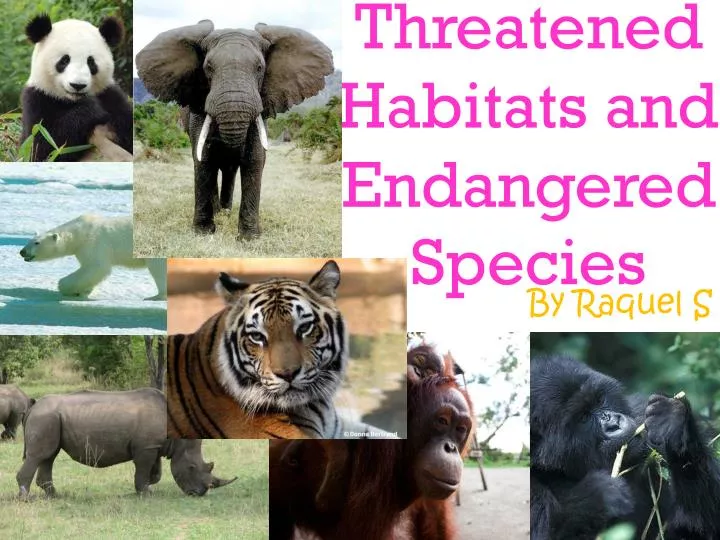 threatened habitats and endangered species