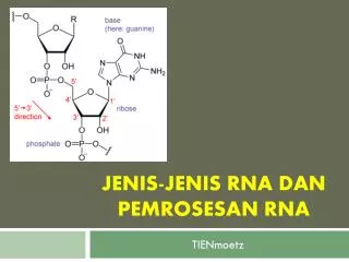 jenis jenis rna dan pemrosesan rna