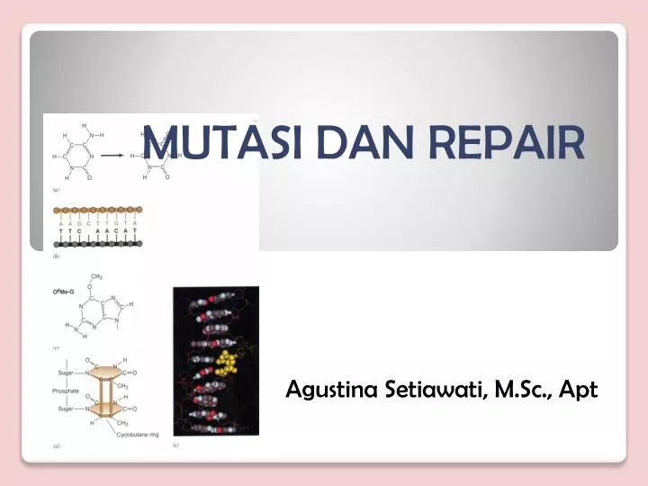 mutasi dan repair