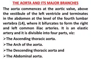 THE AORTA AND ITS MAJOR BRANCHES