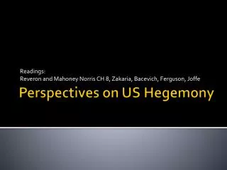 Perspectives on US Hegemony