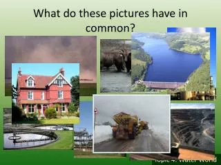 what do these pictures have in common