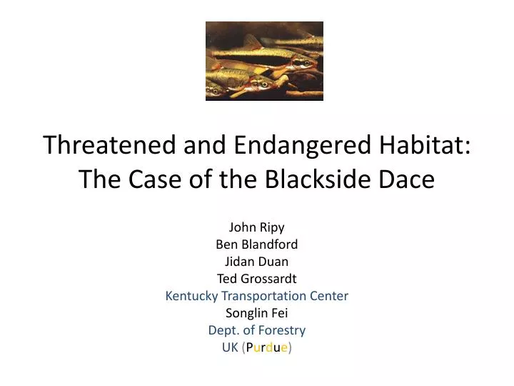 threatened and endangered habitat the case of the blackside dace