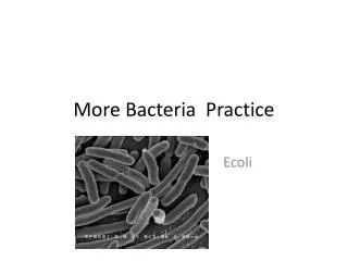 More Bacteria Practice