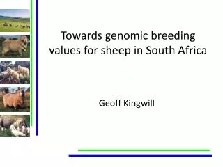 Towards genomic breeding values for sheep in South Africa