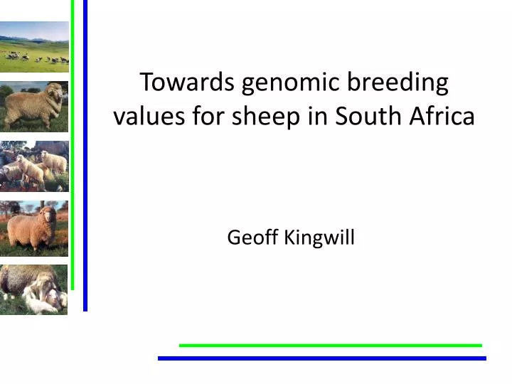 towards genomic breeding values for sheep in south africa