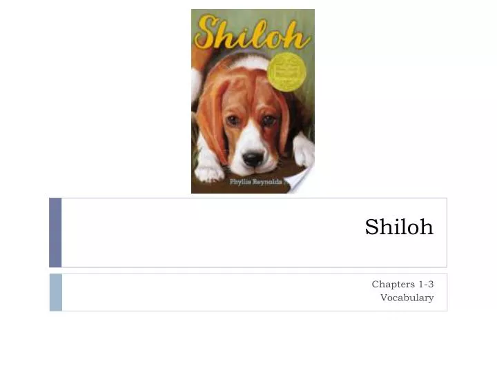 shiloh