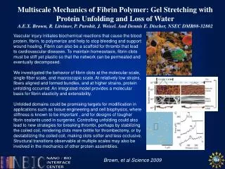 Multiscale Mechanics of Fibrin Polymer: Gel Stretching with Protein Unfolding and Loss of Water