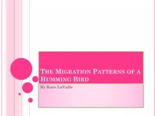 The Migration Patterns of a Humming Bird