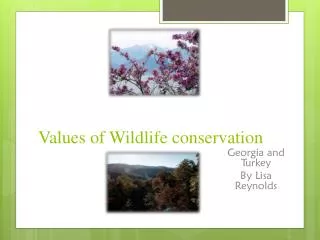 Values of Wildlife conservation