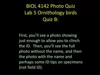 BIOL 4142 Photo Quiz Lab 5 Ornithology birds Quiz B: