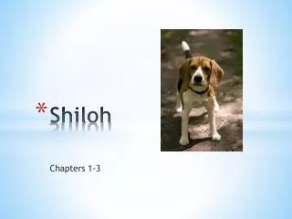 shiloh