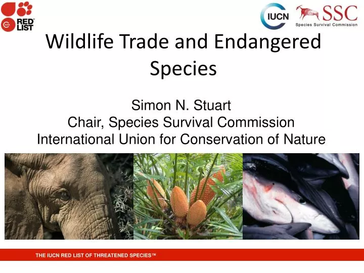 wildlife trade and endangered species