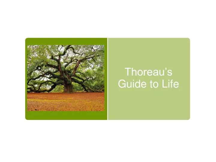 thoreau s guide to life