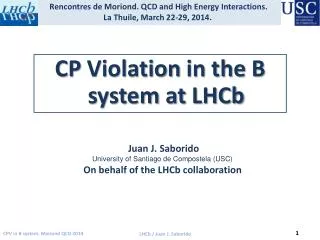 CP Violation in the B system at LHCb