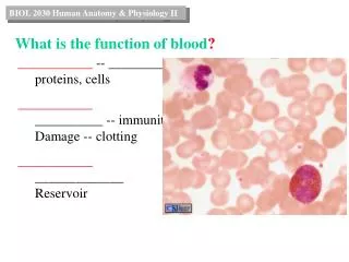 What is the function of blood ?