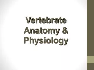 Vertebrate Anatomy &amp; Physiology