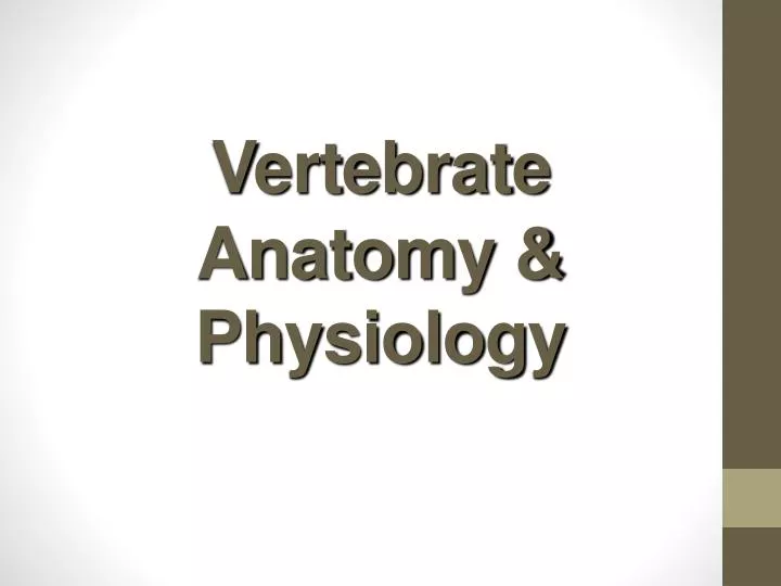 vertebrate anatomy physiology
