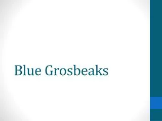 Blue Grosbeaks