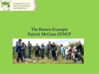 The Burren Example