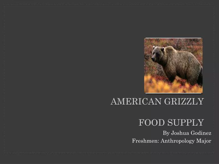 american grizzly food supply