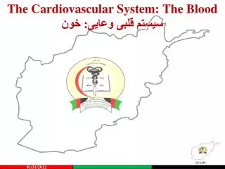 the cardiovascular system the blood